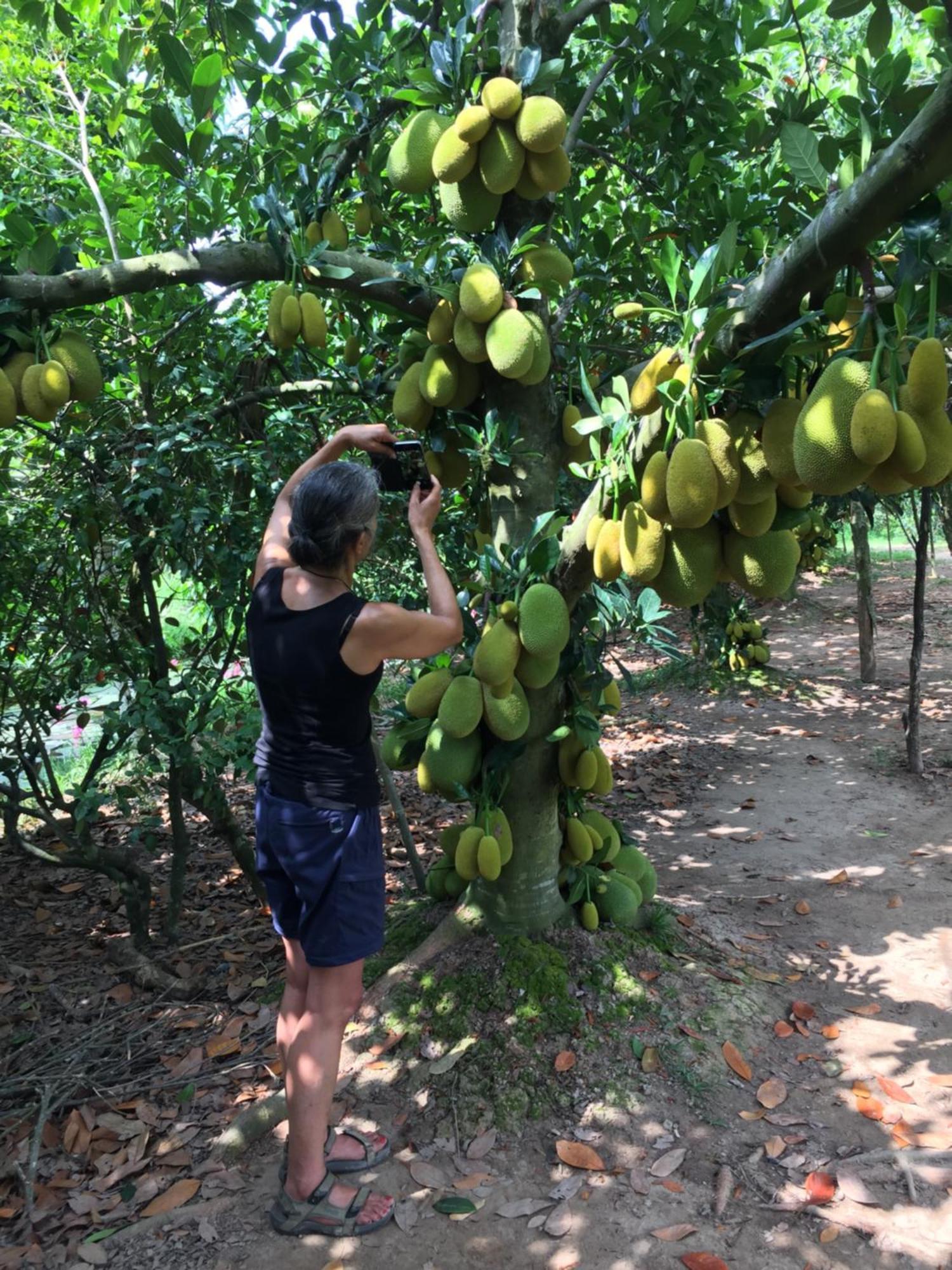 Mekong Farmstay Cantho - C.R Floating Market Can Tho Exteriér fotografie